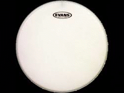 EVANS B18G1 18&Prime; G1 Coated Head Coated White
