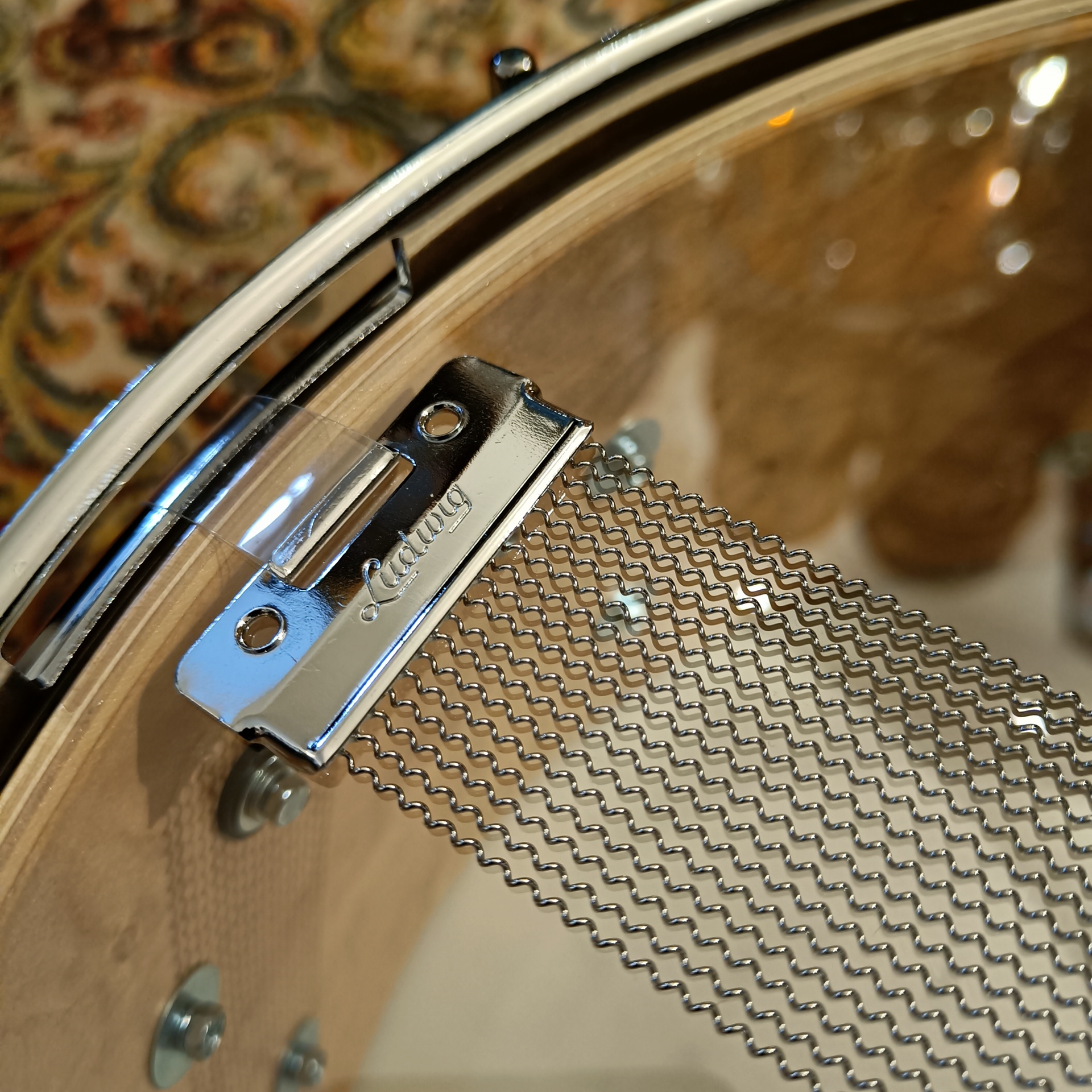 Ludwig Classic Exotic Birds Eye Maple 14"x6.5" LS403TX50WM – Image 7