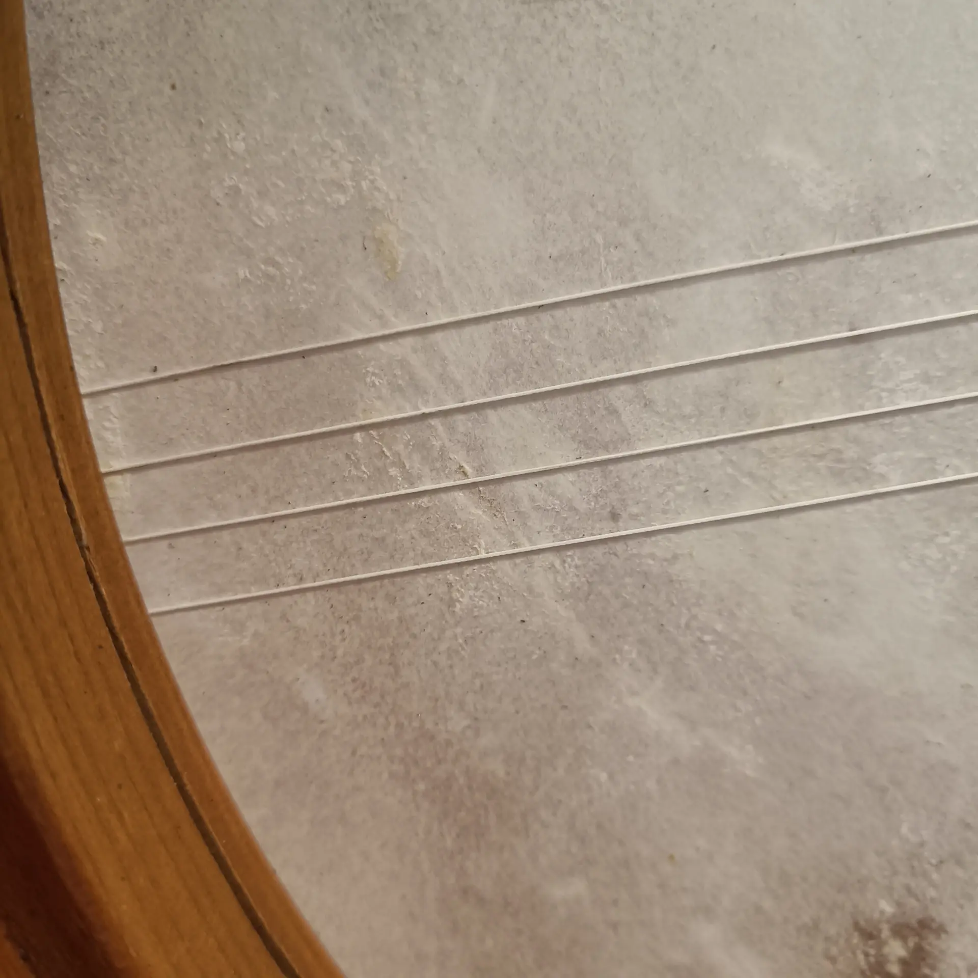 Cooperman Bendir 18"x4" - Image 7