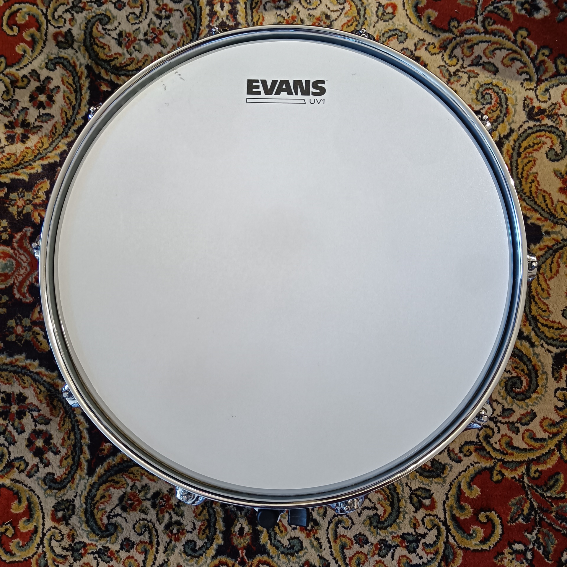 Vaudou Drums Half & Half Black Nickel Plated & Bronze 14x6,5 – Image 5