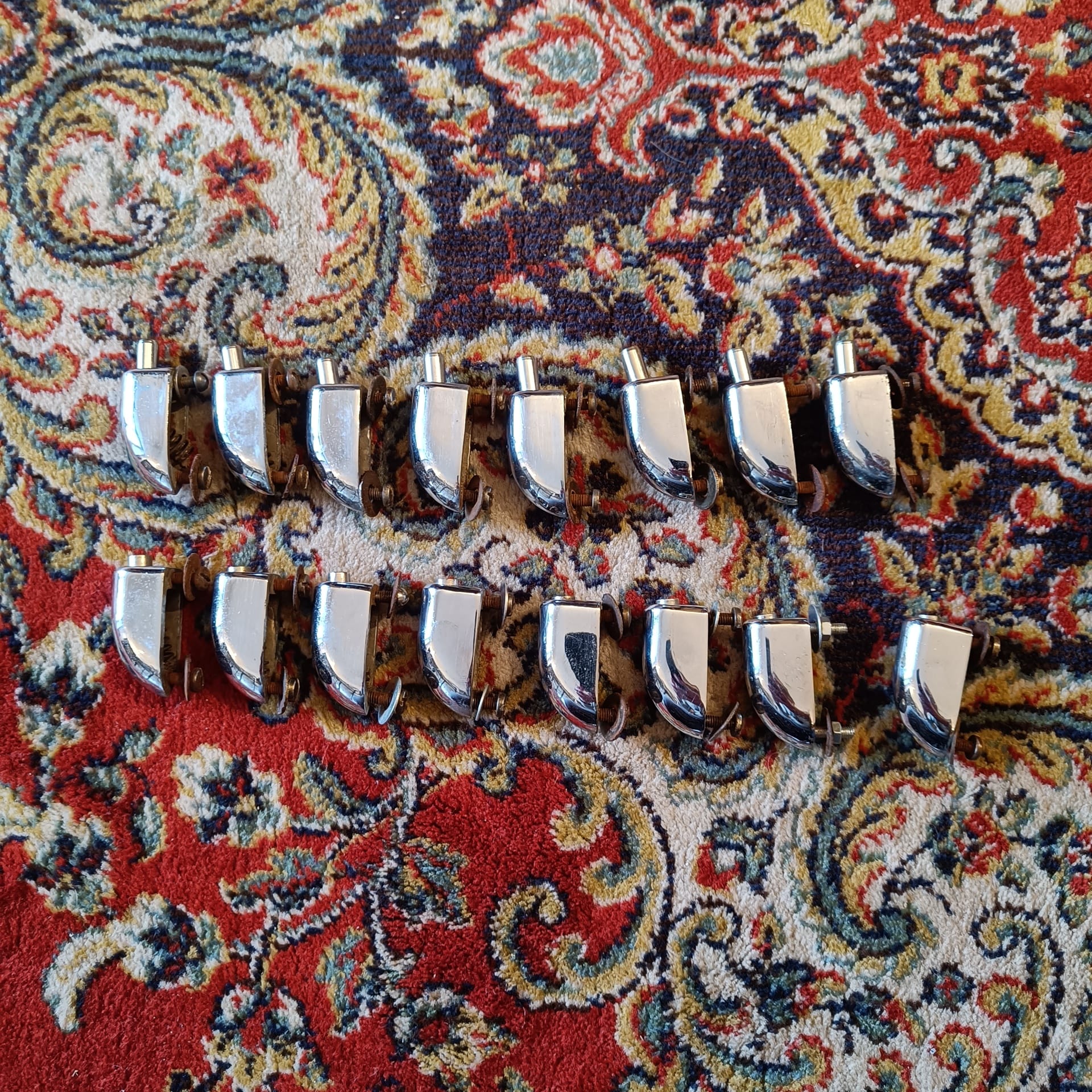 Gary Coquilles Caisse Claire Vintage X16
